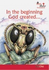 In The Beginning God Created  (pack of 5) - VPK